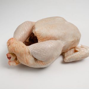 Pollo