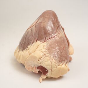 Corazón